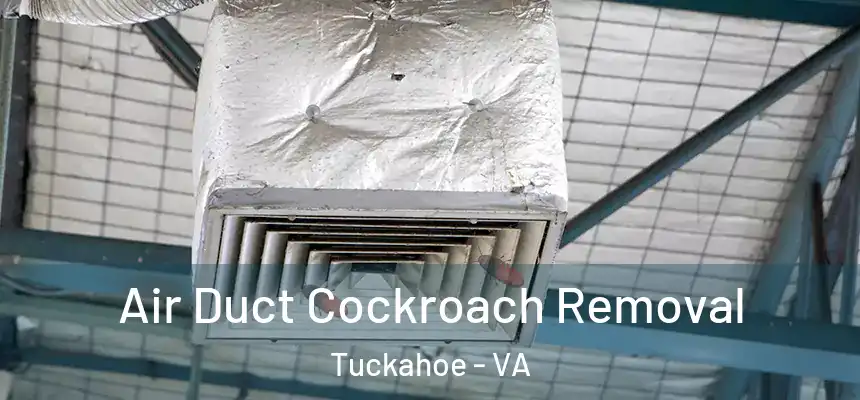  Air Duct Cockroach Removal Tuckahoe - VA