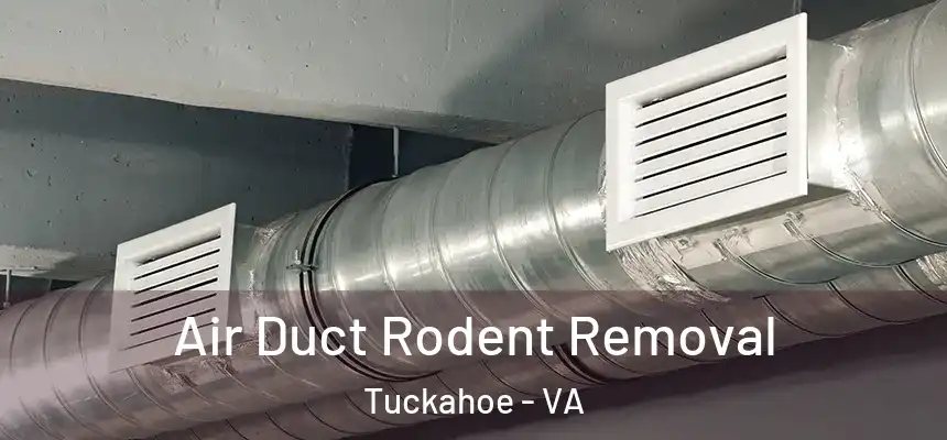  Air Duct Rodent Removal Tuckahoe - VA