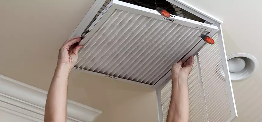 Preventive Cockroach-Proofing for Ducts in Tuckahoe