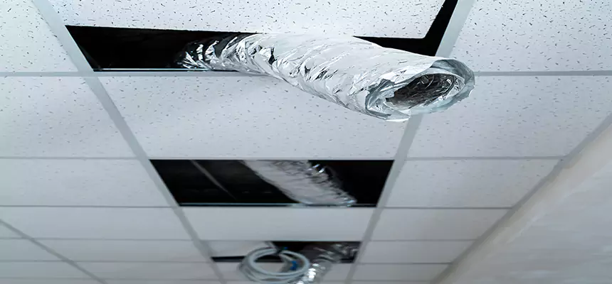 Affordable HVAC Sanitizing After Pest Removal in Tuckahoe