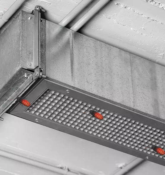 About Air Duct Cockroach Removal in Tuckahoe, VA
