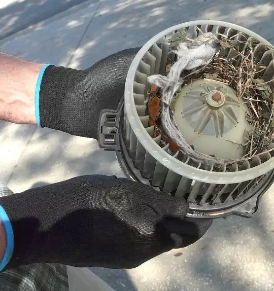 About Air Duct Rat Removal in Tuckahoe, VA