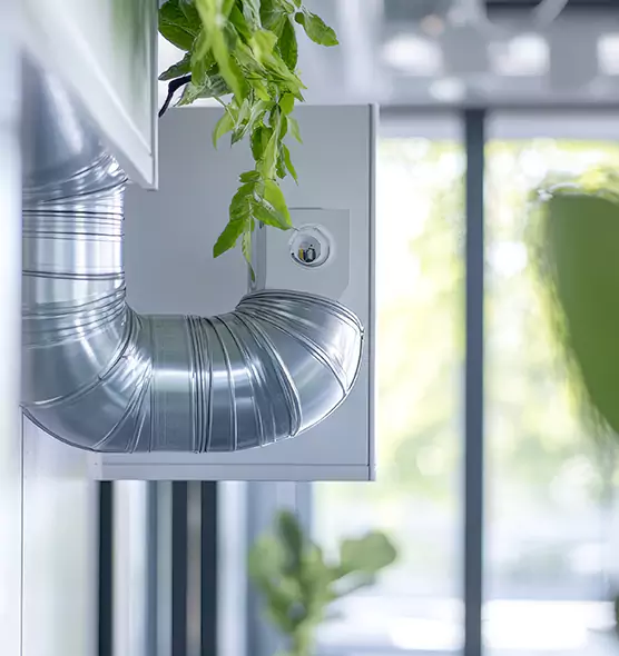 Professional Eco-Safe Dryer Vent Cleaning in Tuckahoe, VA