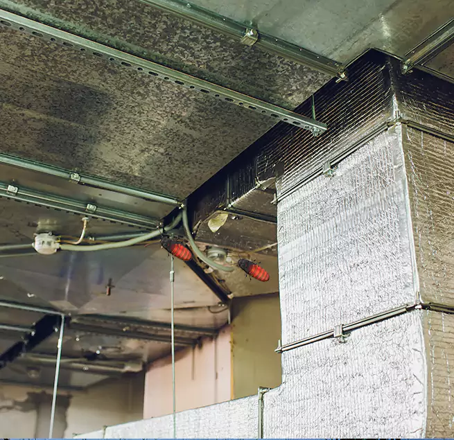 Why Homeowners & Businesses Trust Us in Tuckahoe, VA?