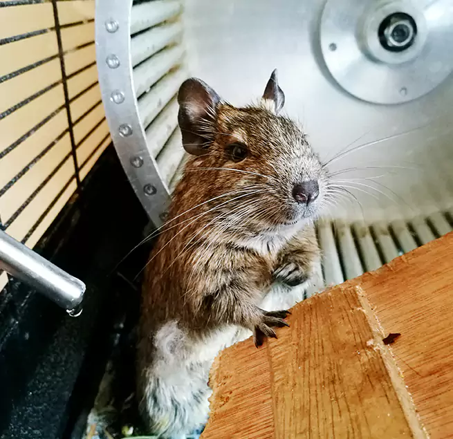 Why Homeowners & Businesses Trust Us Tuckahoe, VA